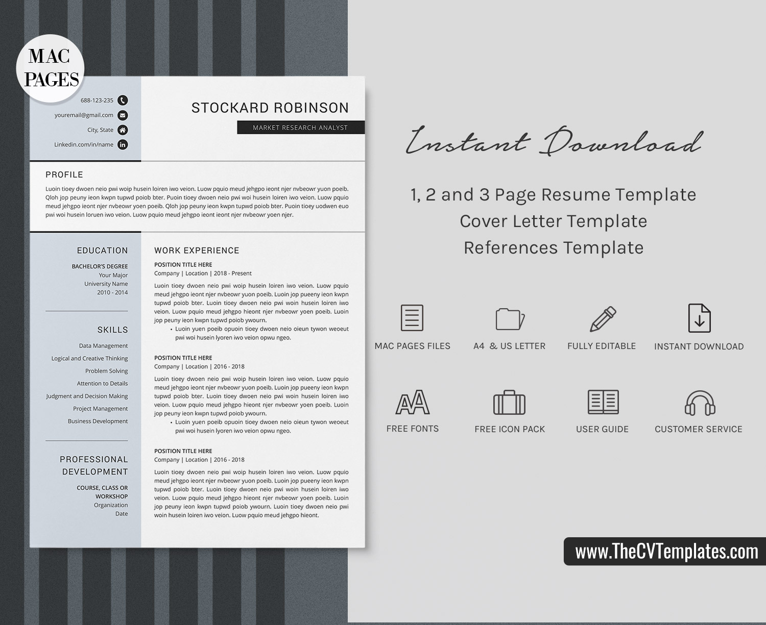 resume format for accountant gst   50
