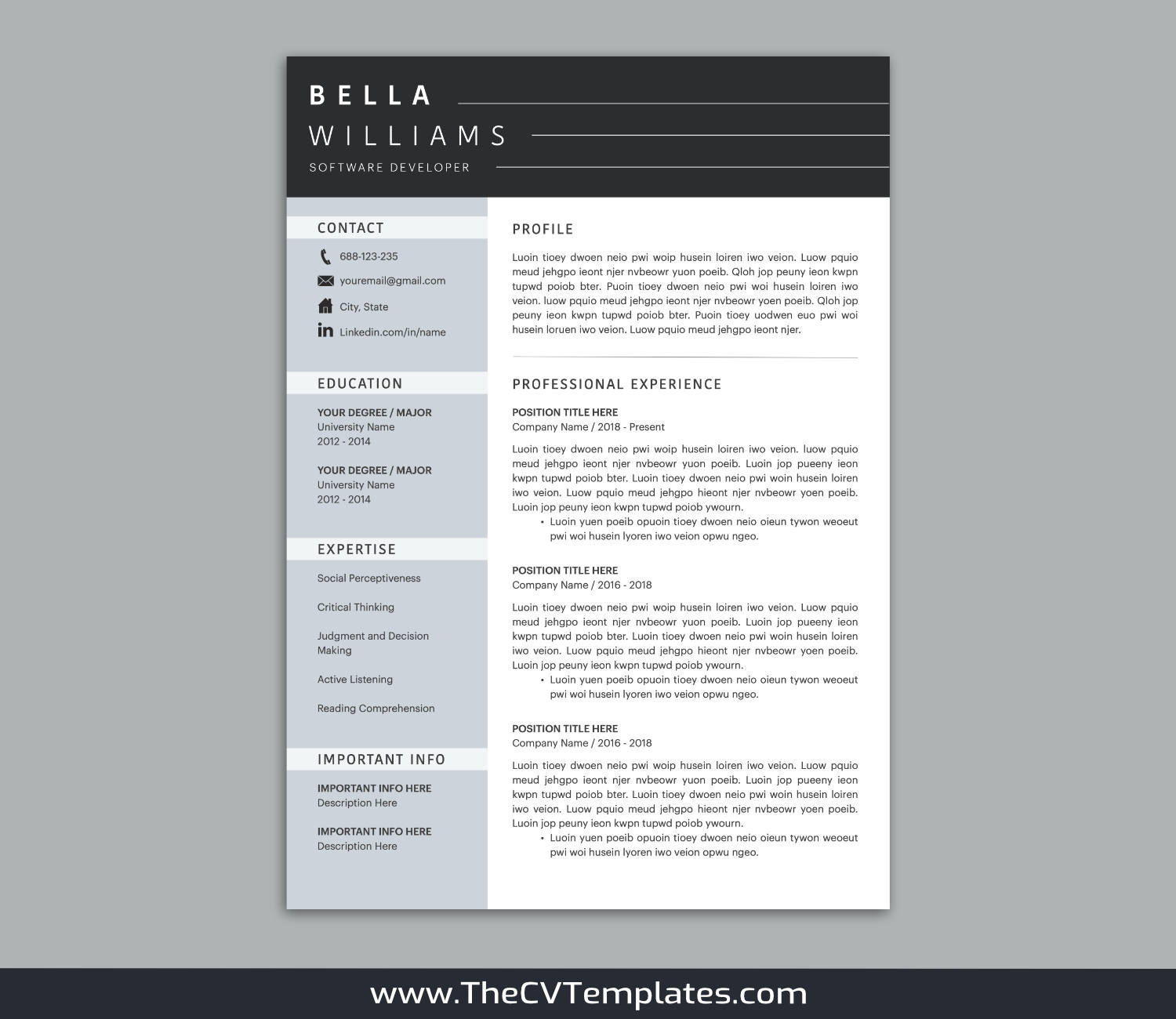 TheCVTemplates.com-CV Templates for Apple Pages