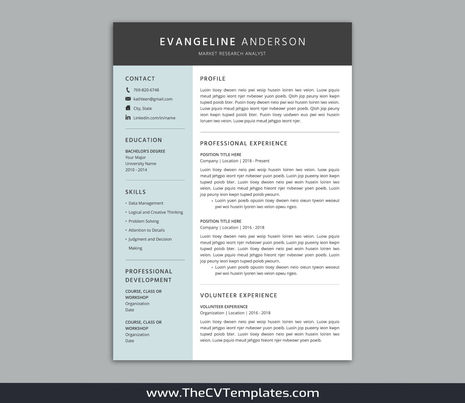 TheCVTemplates.com-CV Templates for Apple Pages