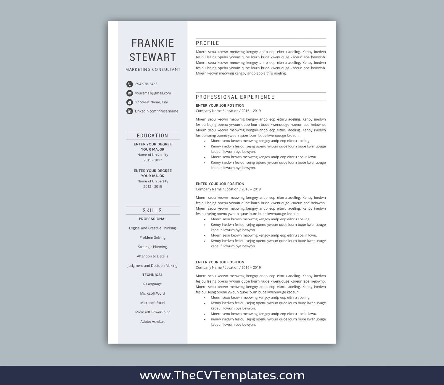 TheCVTemplates.com-resume templates for ms word