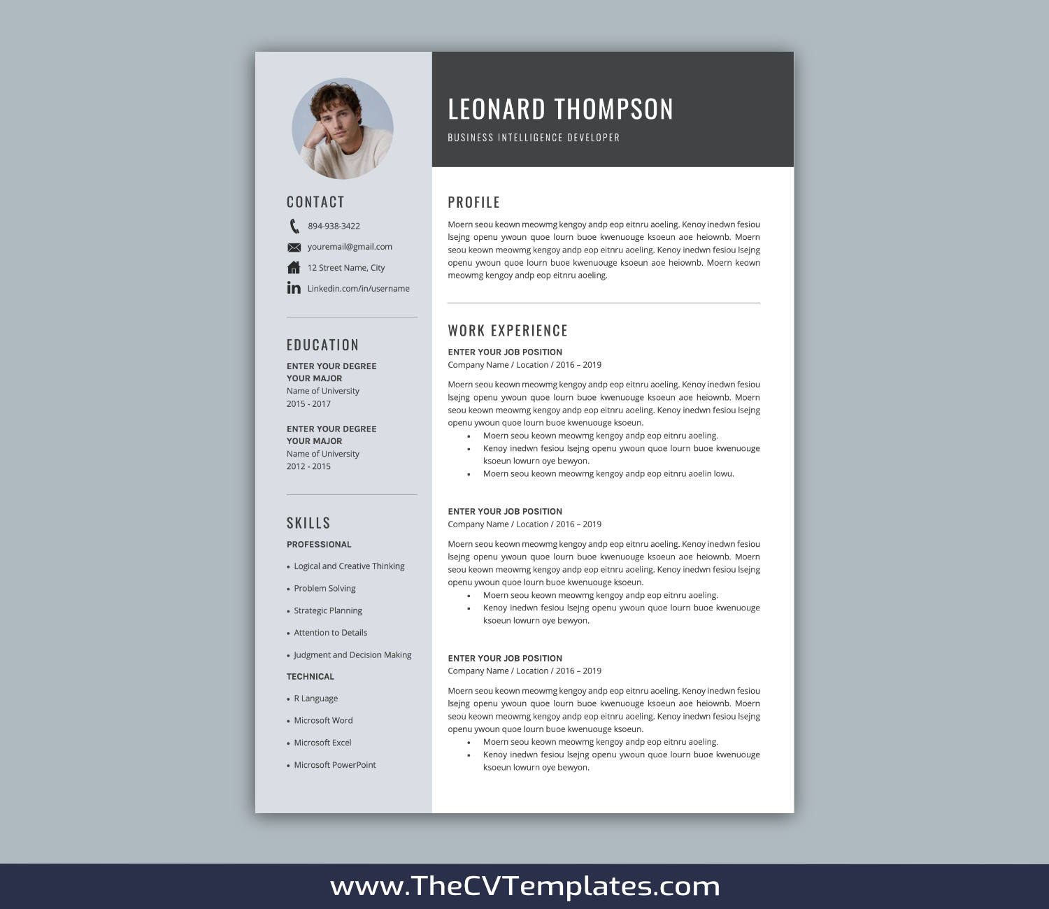 TheCVTemplates.com-resume templates for ms word