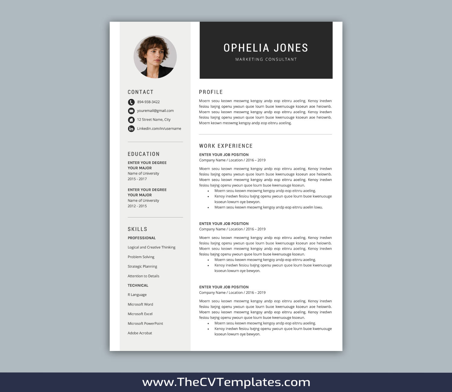 TheCVTemplates.com-resume templates for ms word