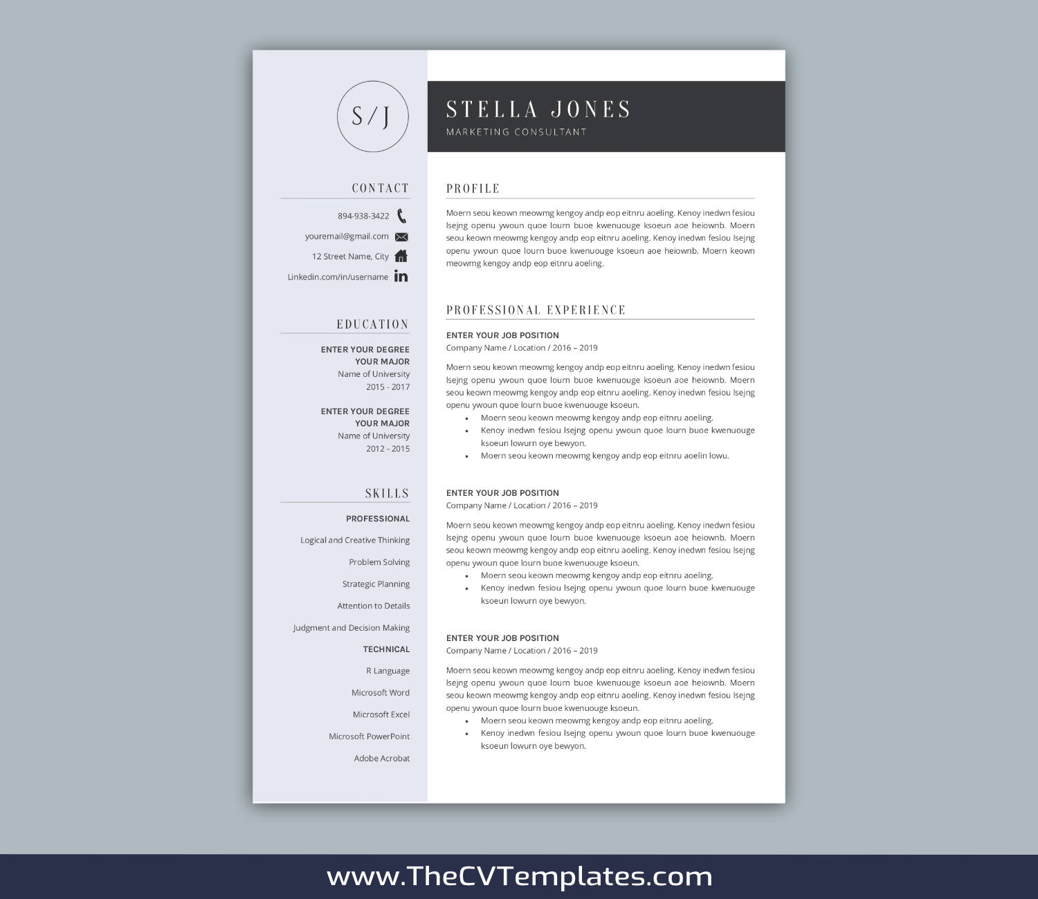 TheCVTemplates.com-resume templates for ms word